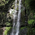 Marital Fall