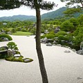 Zen Garden